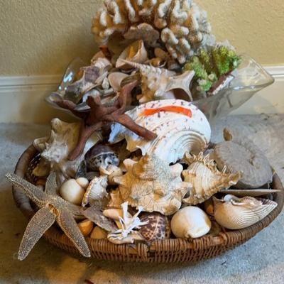 BN289 Seashells By Sea/Ocean #3