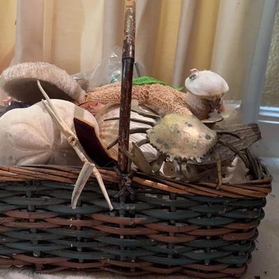 BN344 Basket Of Assorted Seashells 