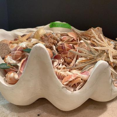BN345 Giant Clam Full Of Seashells 