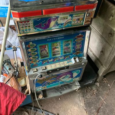 Dolphin slot machine
32h19l10d