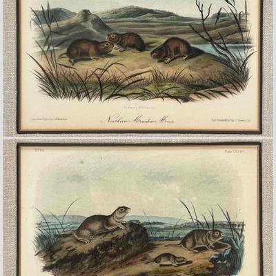 Sale Photo Thumbnail #238