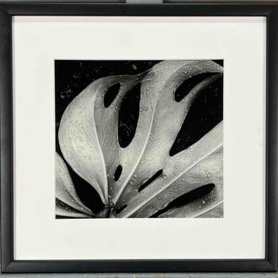 Sale Photo Thumbnail #178