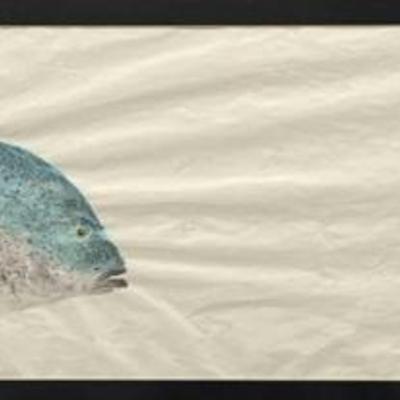 Sale Photo Thumbnail #111