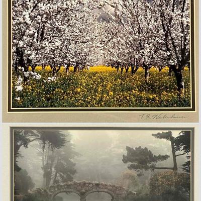 Sale Photo Thumbnail #177