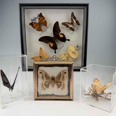 Sale Photo Thumbnail #195