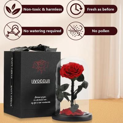 Sale Photo Thumbnail #187: Screenshot 20251115 145858 chrome