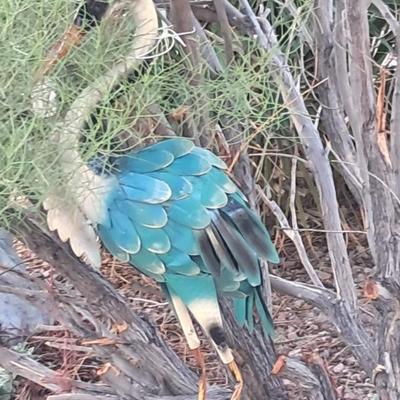 Sale Photo Thumbnail #8