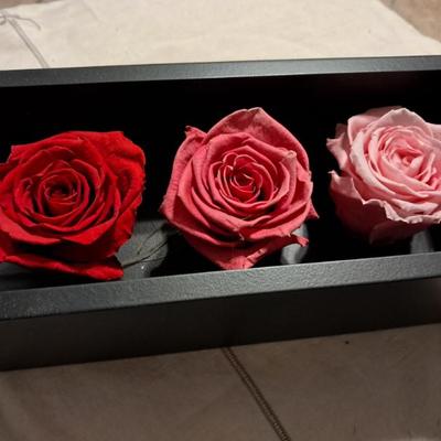 Sale Photo Thumbnail #111