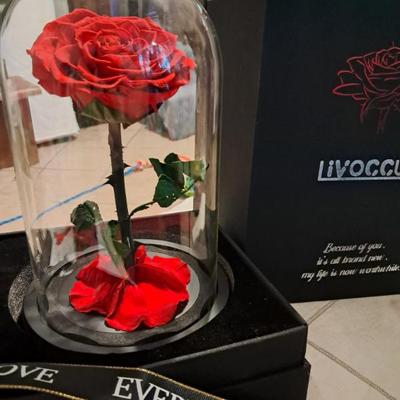 Sale Photo Thumbnail #112