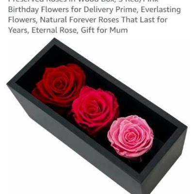 Sale Photo Thumbnail #186: Screenshot 20251115 155020 chrome