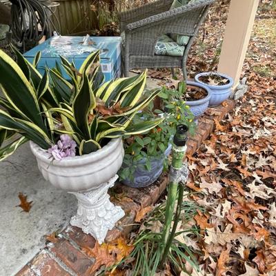 Sale Photo Thumbnail #78