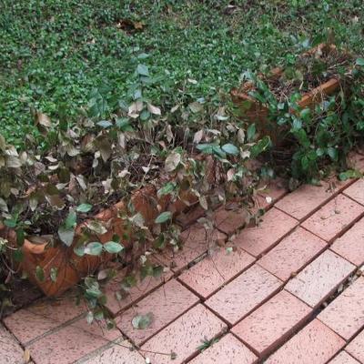 Sale Photo Thumbnail #199