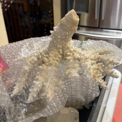 Sale Photo Thumbnail #419