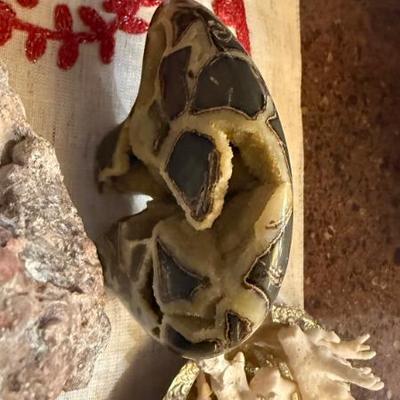 Sale Photo Thumbnail #421