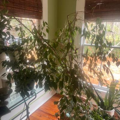 Sale Photo Thumbnail #80