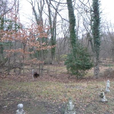 Sale Photo Thumbnail #8