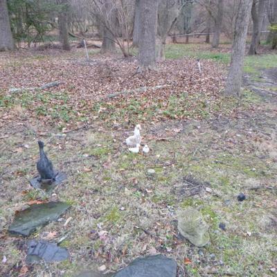 Sale Photo Thumbnail #7