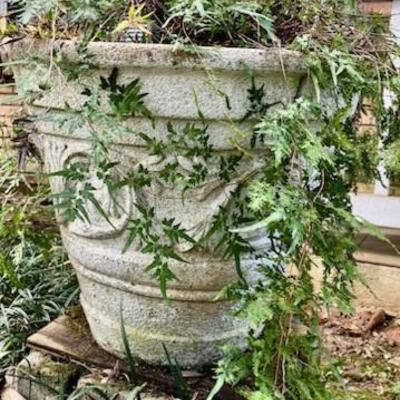 Sale Photo Thumbnail #143