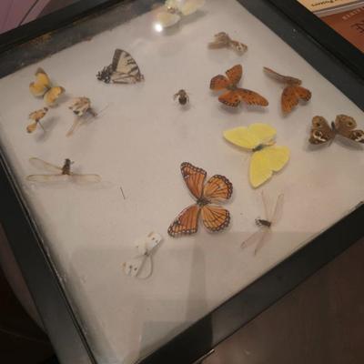 Sale Photo Thumbnail #124