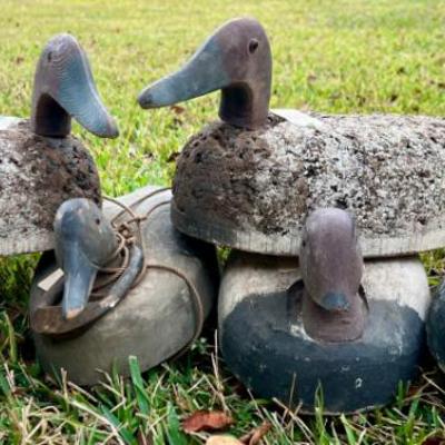 Sale Photo Thumbnail #85