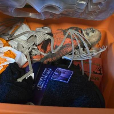 Sale Photo Thumbnail #230