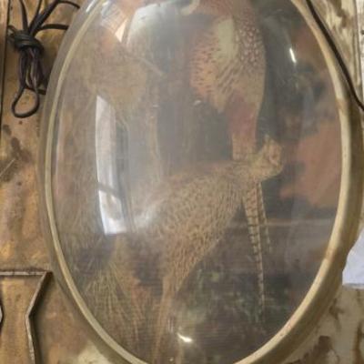 Sale Photo Thumbnail #308