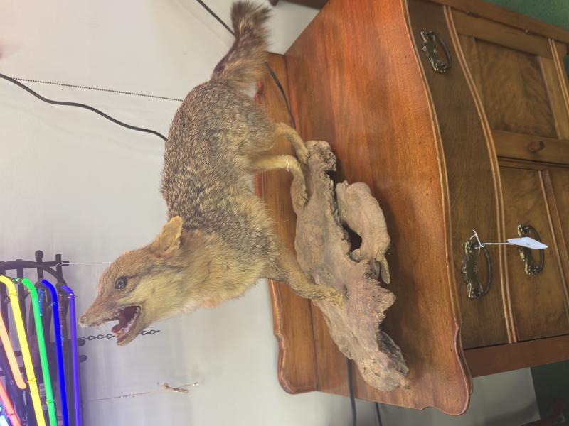 Sale Photo Thumbnail #7