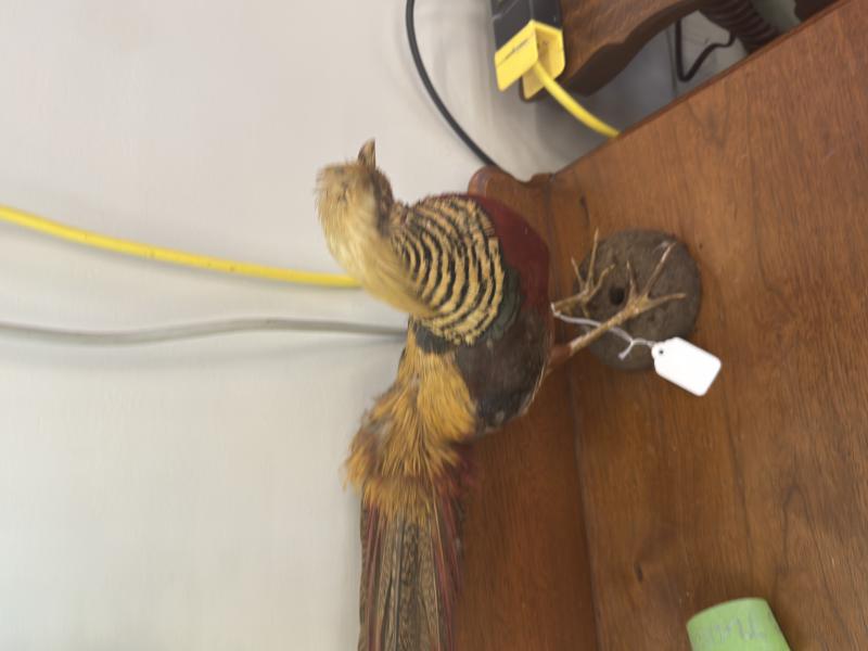 Sale Photo Thumbnail #6