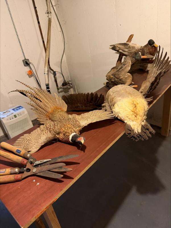 Sale Photo Thumbnail #5