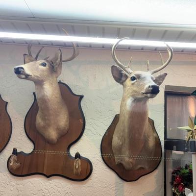 Sale Photo Thumbnail #86