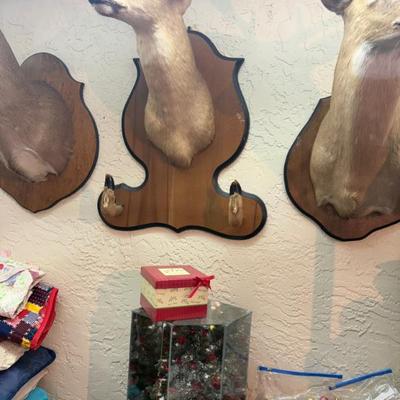 Sale Photo Thumbnail #87