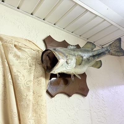 Sale Photo Thumbnail #200