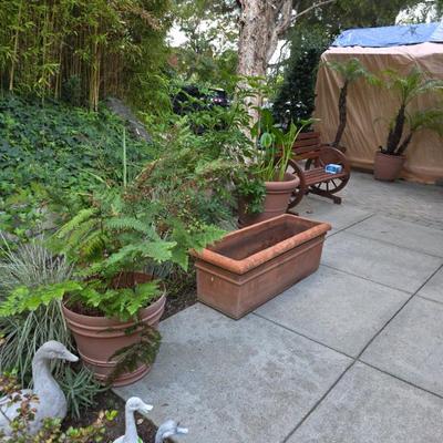 Sale Photo Thumbnail #99