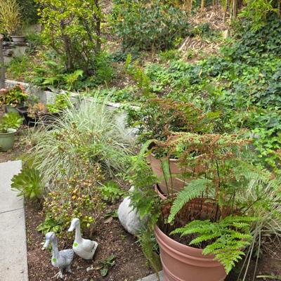 Sale Photo Thumbnail #109