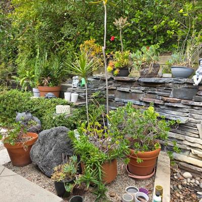 Sale Photo Thumbnail #107