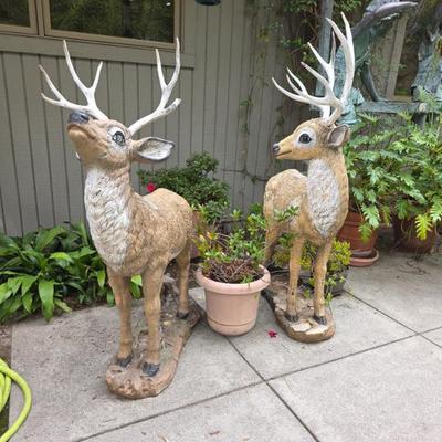 Sale Photo Thumbnail #106