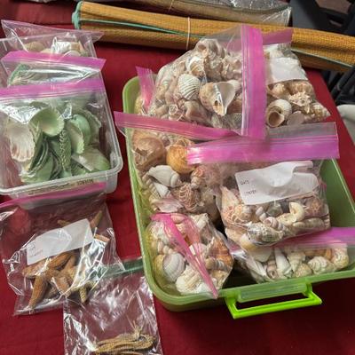 Sale Photo Thumbnail #78