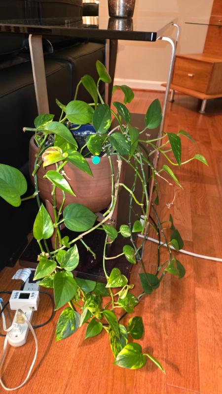 Sale Photo Thumbnail #30