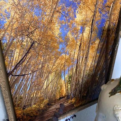 Sale Photo Thumbnail #134