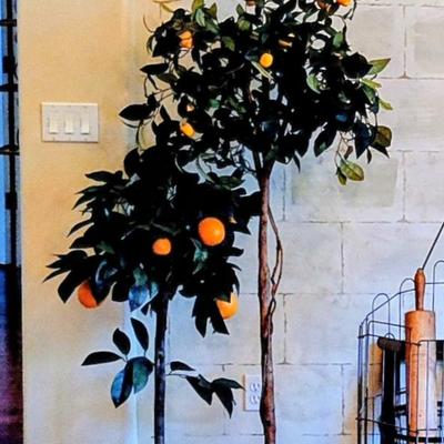 Sale Photo Thumbnail #11