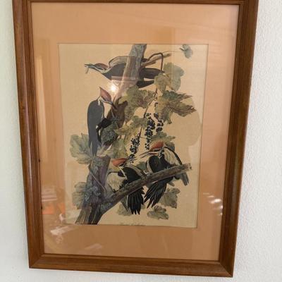 Sale Photo Thumbnail #45