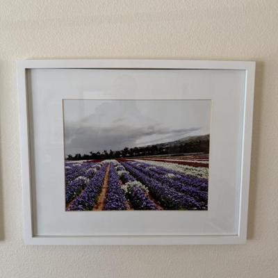 Sale Photo Thumbnail #51