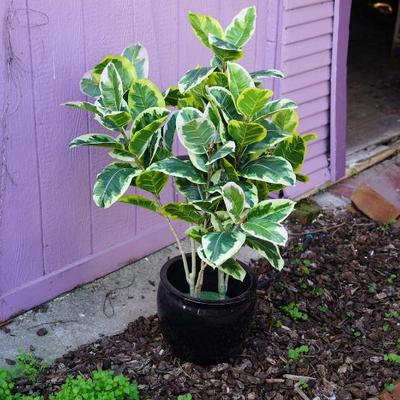 Sale Photo Thumbnail #148