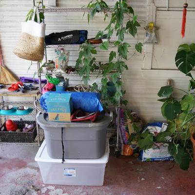 Sale Photo Thumbnail #149