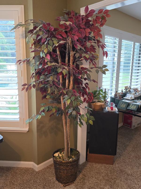 Sale Photo Thumbnail #105