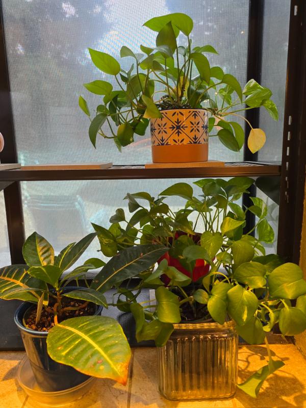 Sale Photo Thumbnail #98