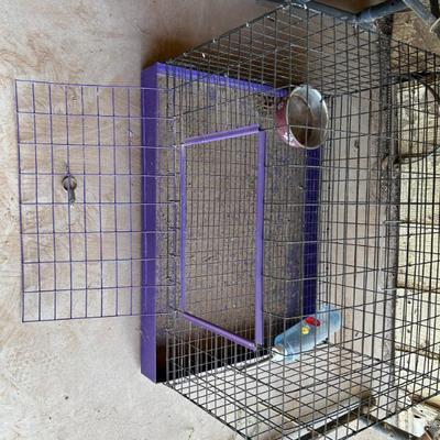 Sale Photo Thumbnail #499