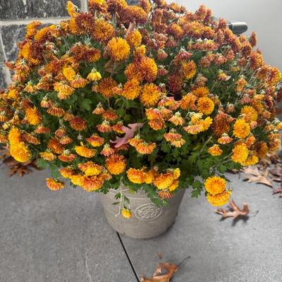 Sale Photo Thumbnail #68