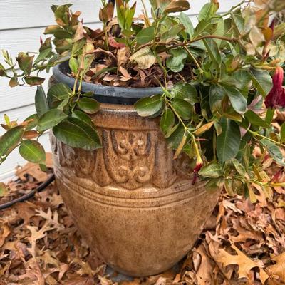 Sale Photo Thumbnail #74