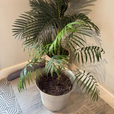 Sale Photo Thumbnail #152